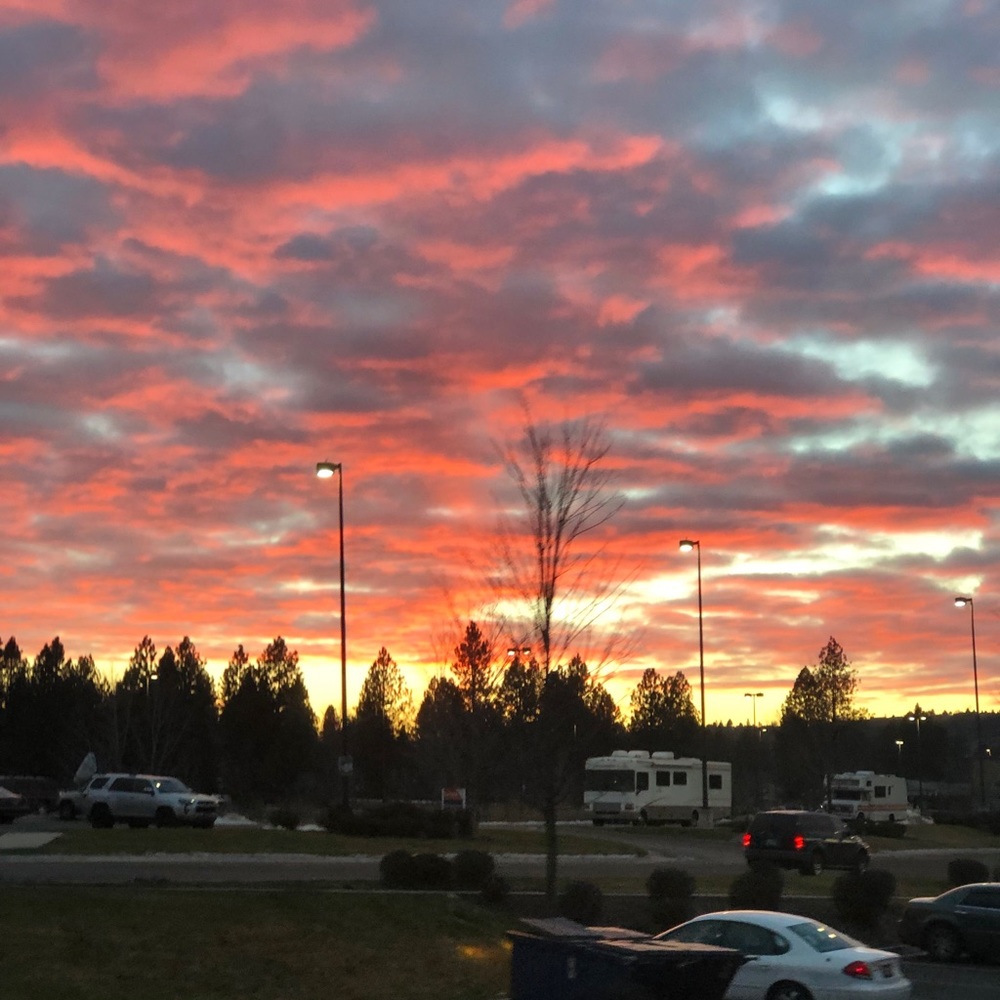 Meet your Posher, Ashlee